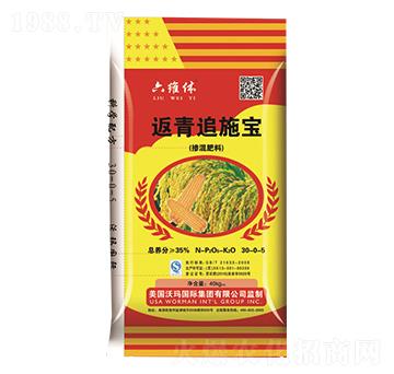 ����׷ʩ��30-0-6-�G����(l��i)