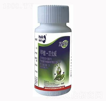 �׾S���x��-���Ɣ�-������