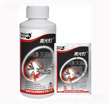 �ڹ��-��������������-������