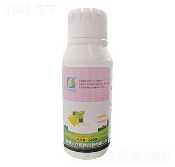 500g�׻�����`-�|�r(n��ng)�߿�