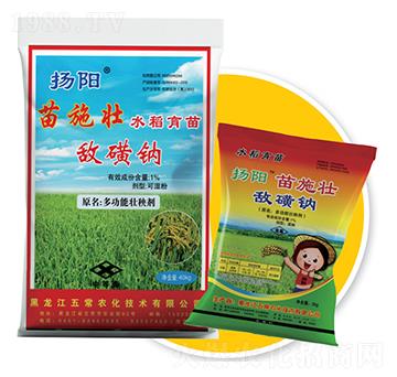 ��ʩ��ˮ�������-�����c-�峣