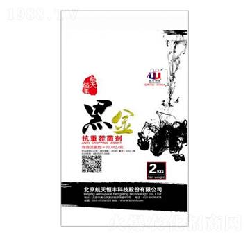 ���ز����-�ڽ�-�����r�I(y��)