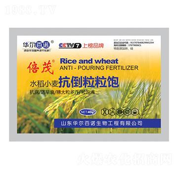 ˮ��С�����������-�A�����Z