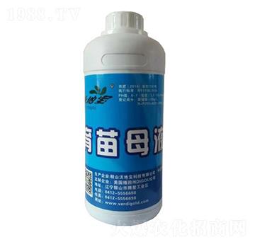 ����ĸҺ-�ֵ،�