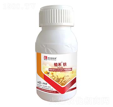 ֲ���F-�̩