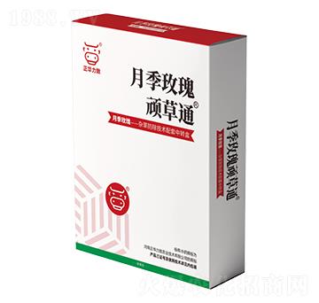 �¼�õ���B��ͨ-���A����