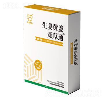 �����S���B��ͨ-���A����