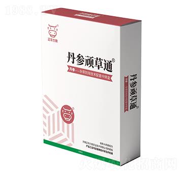 �����B��ͨ-���A����