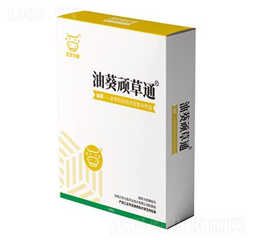 �Ϳ��B��ͨ-���A����