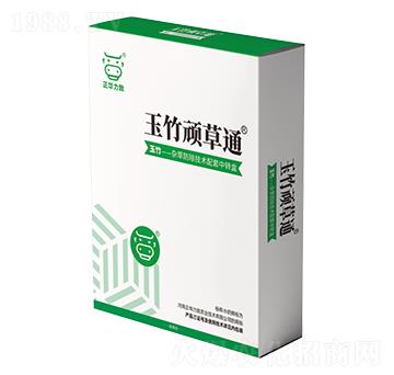 �����B��ͨ-���A����