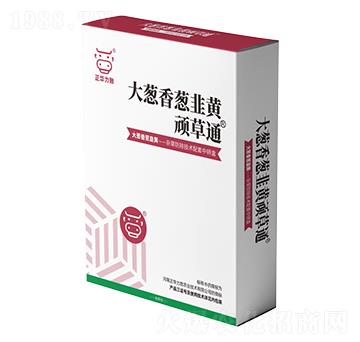 ���[�����[�����S�B��ͨ-���A����