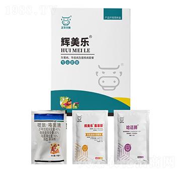 ��ù�������߲������˲��ײ�-�x����(l��)-���A����