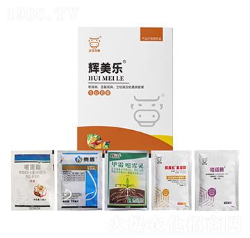 ���������o�����������ݲ�����ή���ײ�-�x����(l��)-���A����