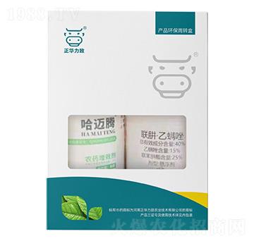 ���������ײͣ����~�v+40%(li��n)�¡�������-���A����