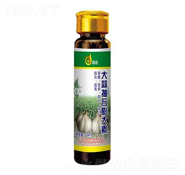 ������_�����-���_����