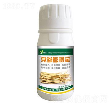 �h�������-���_����