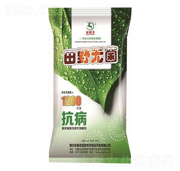 ����s�ͺ�΢�������-��Ұ�o��-�l(f��)ؔ��