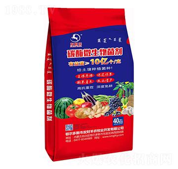 10�|��̼ø΢�������-�l(f��)ؔ(c��i)��