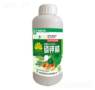 ��⛾�-���n��