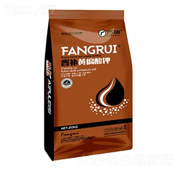 �x�a�S�����-����