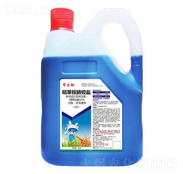 10%�����@��@�}-�;��z-��Խ����