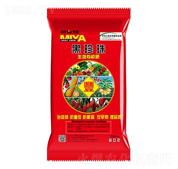 �����������ЙC(j��)��-�ׁ�����