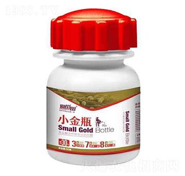 ������С��ƿ-�������