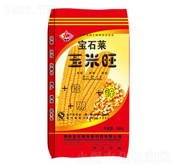 ������-��ʯ�R