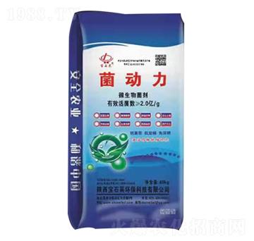 ����(d��ng)��΢�������-��ʯ�R