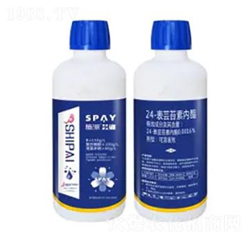 24-���|̦�؃�(n��i)֬-�|��-ʩ������