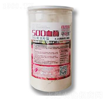 SODѪø-�Ȭ����H��