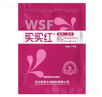 ��������-�I(m��i)�I(m��i)�t-�Ȏ�