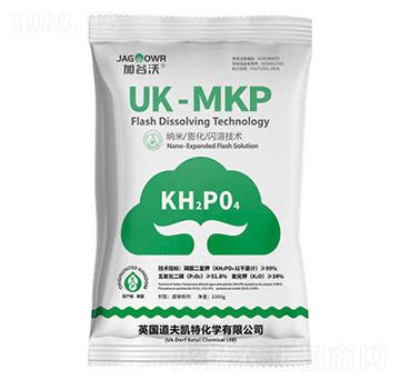 ��������-����P��