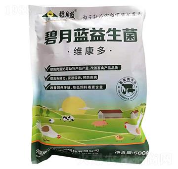 �����{(l��n)������-�����{(l��n)����