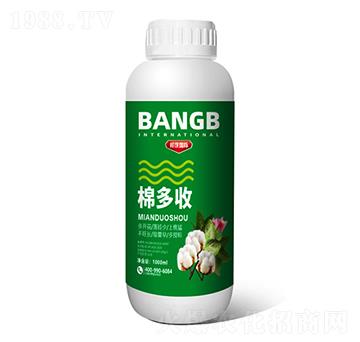 �޶���-���(gu��)�H