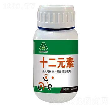 ʮ��Ԫ��-��(��i)����