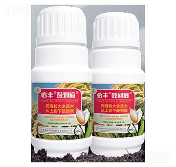 ˮ������-���S�ĵ���-����S