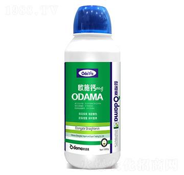 �Wʩ�}-�W����