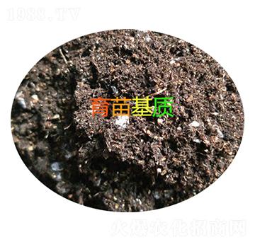 ������|-���d����