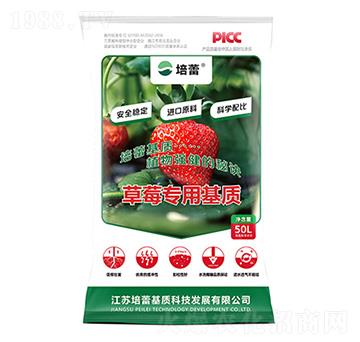 ��ݮ�ЙC(j��)������|(zh��)-����