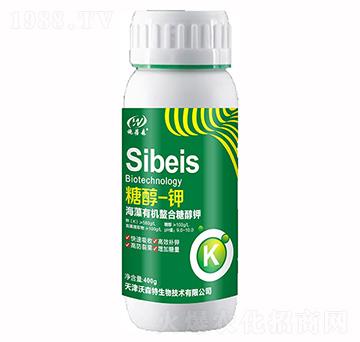 �Ǵ�һ�-��ɭ��