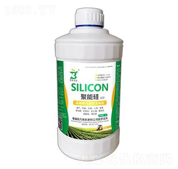 �߶˾۹����z���w��-���ܹ����z-�z���r(n��ng)�I(y��)