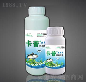 ø���~(y��)�����~����-��������-�G�����