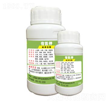 �ЙC�-�G�̿�-�x����