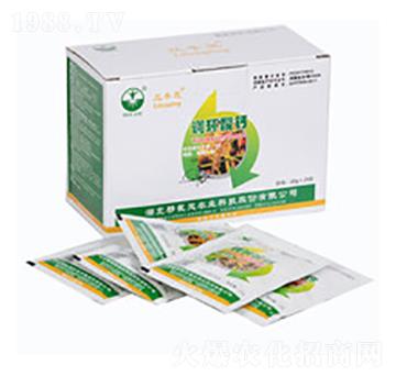 ���S�`-�����`�r�I(y��)