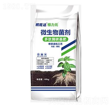 ����Ԫ����ø̿����-�����_-�֠����r�I(y��)