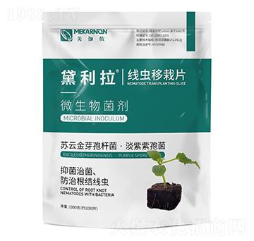 ���x����Ƭ-������-��٤�z