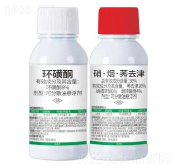 8%�h(hu��n)��ͪ+36%��������ݬȥ��-��e��-�Z�����r(n��ng)�I(y��)