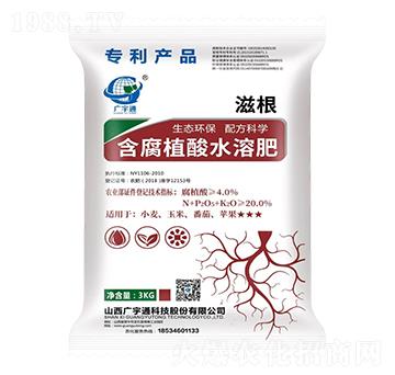 ����ֲ��ˮ�ܷ�-�̸�-�V��ͨ