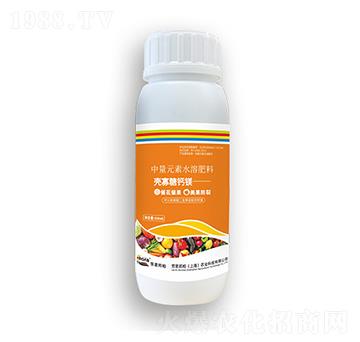 �������}�V-�ڶ����